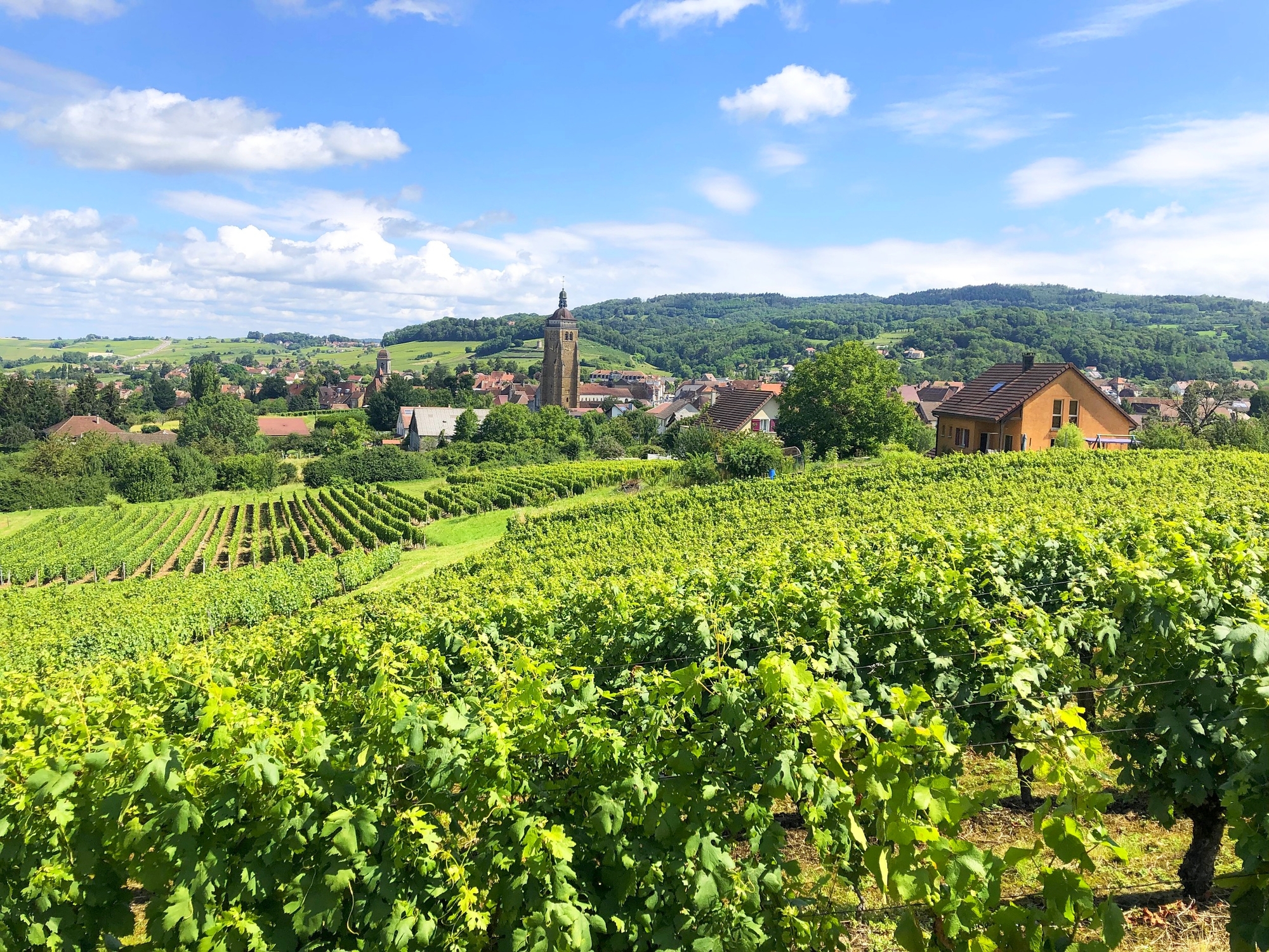 Circuit des Arces – 11V