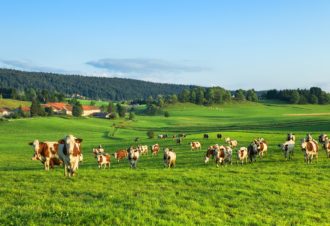 L&rsquo;Echappée grandvallière – Rando itinérante 3 jours