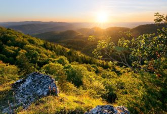 L’Encensement / le Paradis – 5R