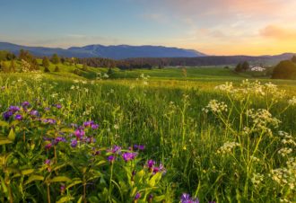 Les Platières – 15R