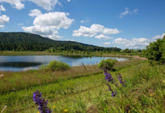 La Bique du Mont-Noir – 20N