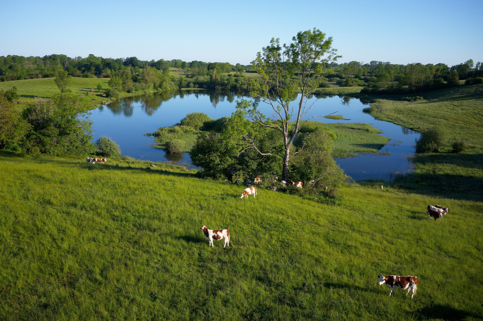 Fontaine des Meix – 27B