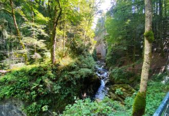 Échappée Jurassienne VTT – Étape 10 : Ilay – Foncine-le-Haut
