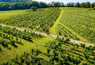 Tour du Jura Vélo Loisirs – Option Gravel : Port-Lesney – Poligny