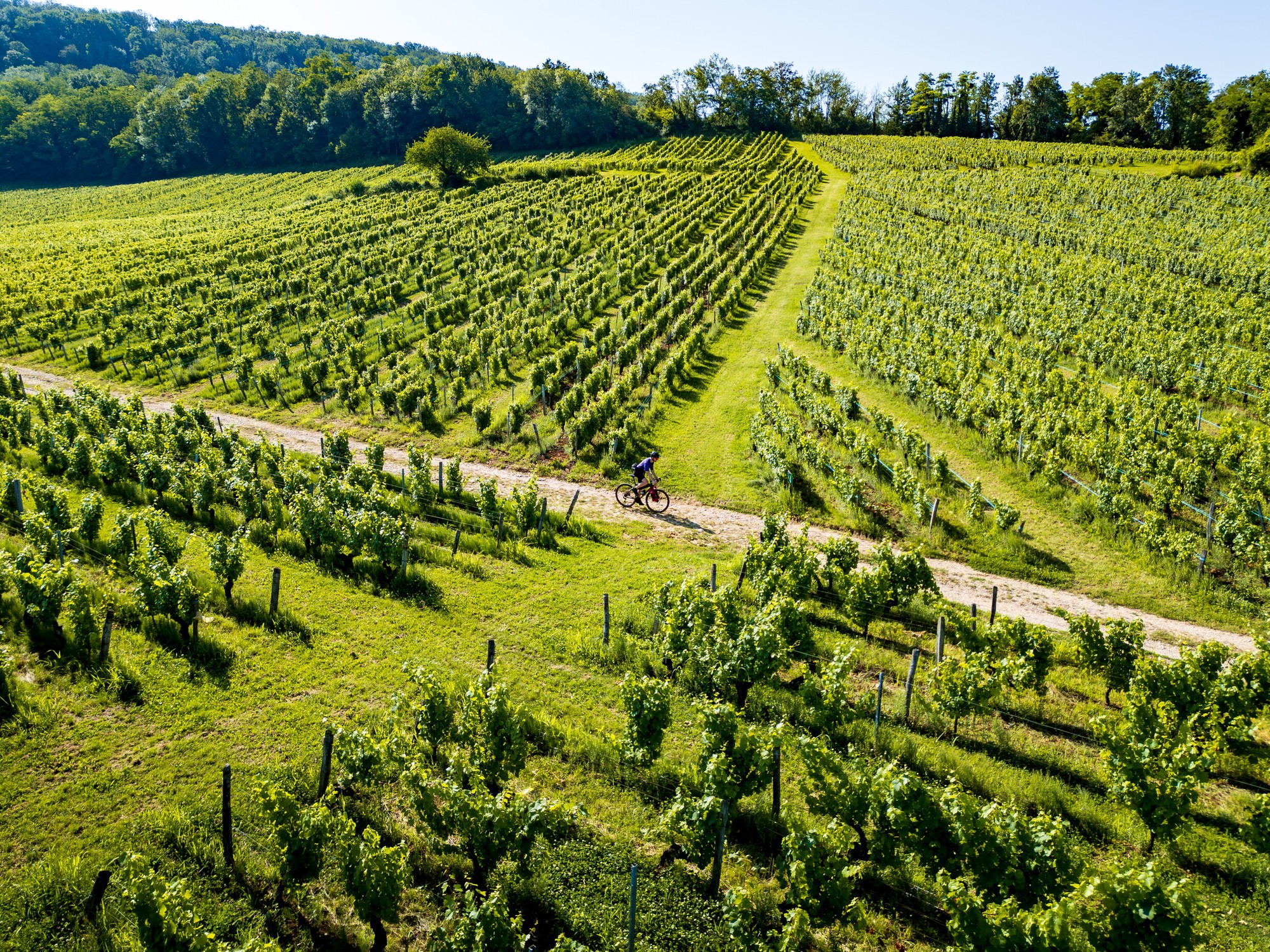 Tour du Jura Vélo Loisirs – Option Gravel : Port-Lesney – Poligny