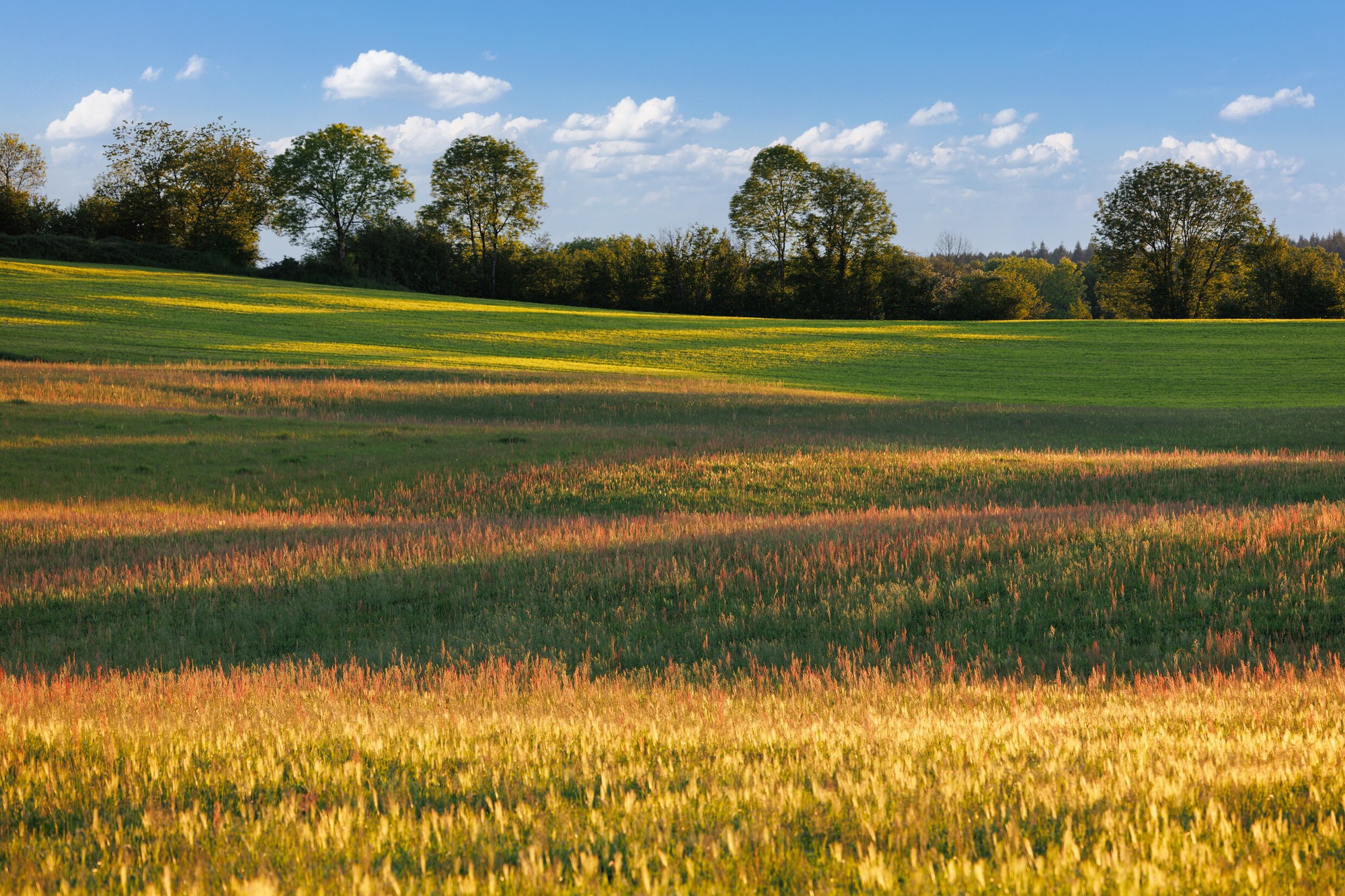 Les Vestiges du Passé – 2B