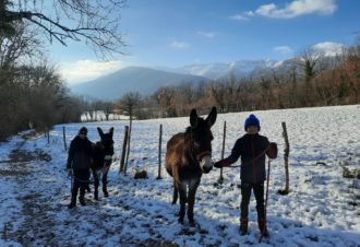 La flânerie d’Audrey