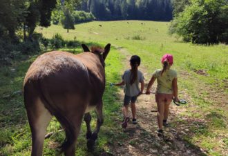La flânerie d’Audrey