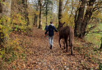 La flânerie d’Audrey