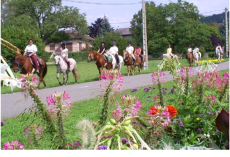 Domaine de la Loge – École d&rsquo;équitation