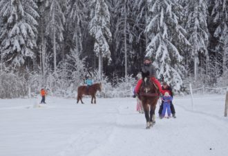 Ferme équestre de la Pelaisse