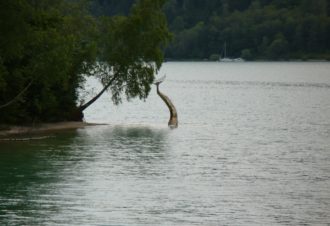 Sentier « La Sirène Egarée »