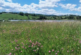 Du Lac-des-Rouges-Truites au Lac à la Dame – 30V