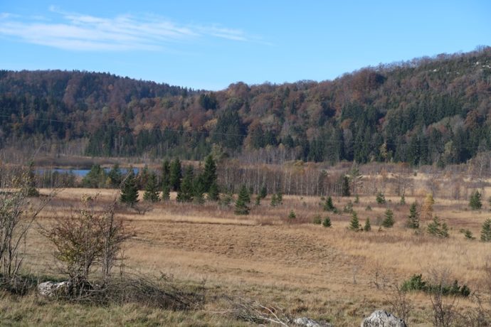 LAC DE VIRY_2