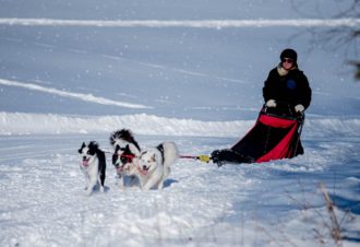 La vallée des laïkas – Chiens de traîneau