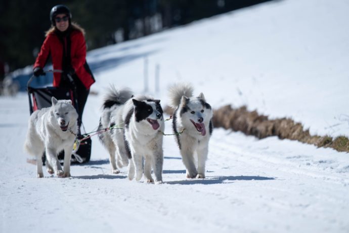 lavalleedeslaikas-initiation32025