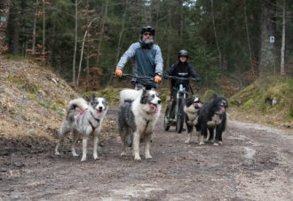 La vallée des laïkas –  kart, cani-trottinette et cani-rando