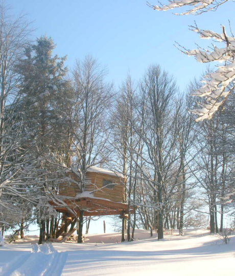 181858Les Loges du Coinchet – Cabane perchée