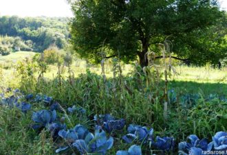 Les Jardins de Grusse
