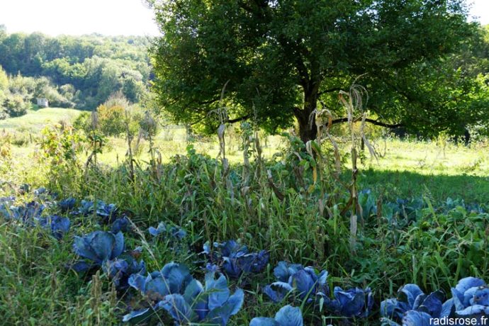 les-jardins-de-grusse-