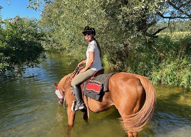 GENETTE ET SALAMANDRE