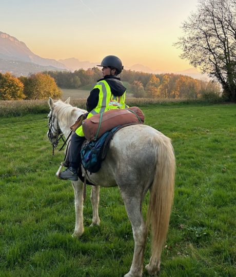La Genette et la Salamandre
