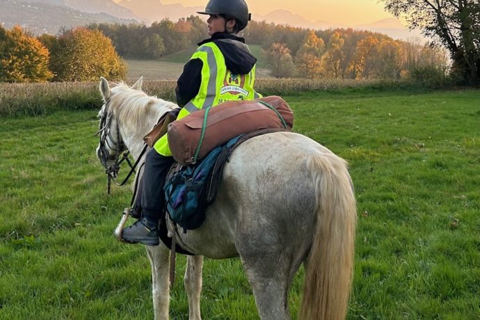 GENETTE ET SALAMANDRE