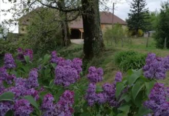 Gîte de la Corne au Cerf