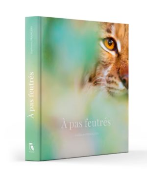 livre-a-pas-feutres-guillaume-francois-preface-hugo-clement-2