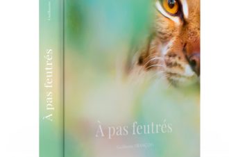 Conférence « À pas feutrés, 3000 jours à l’affût de la nature libre et sauvage » de Guillaume François.