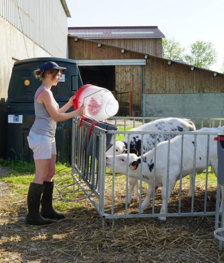 1242904GAEC des Chemins Verts