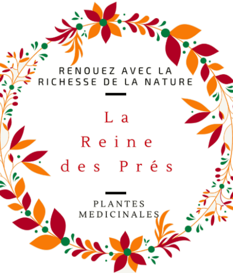 La Reine des Prés – Balade & Ateliers