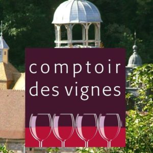 logo Comptoir des vignes Salins