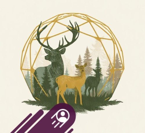 logo havre de chaux