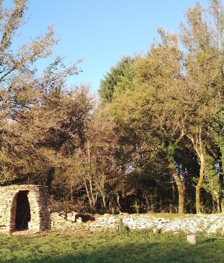 Chemin des curiosités