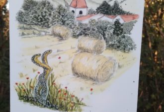 Chemin des curiosités