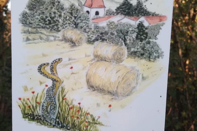 montagna automne 2024 (17)