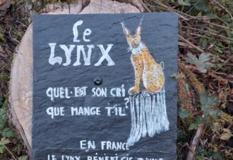 Chemin des curiosités