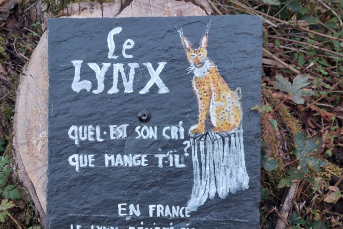 montagna automne 2024 (18)