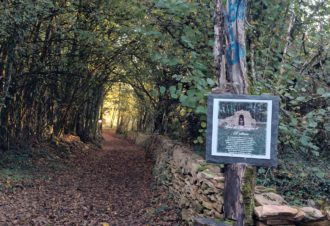 Chemin des curiosités