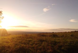 Chemin des curiosités