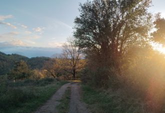 Chemin des curiosités