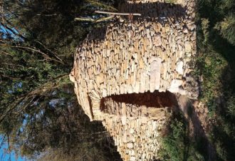 Chemin des curiosités