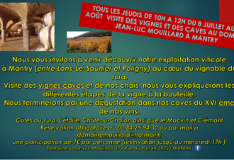 Domaine Jean-Luc Mouillard