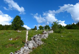 Sentier de la forêt du Massacre
