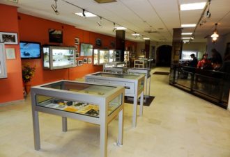 Musée de la Pipe et du Diamant