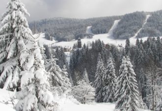 Les Baganiers – raquettes