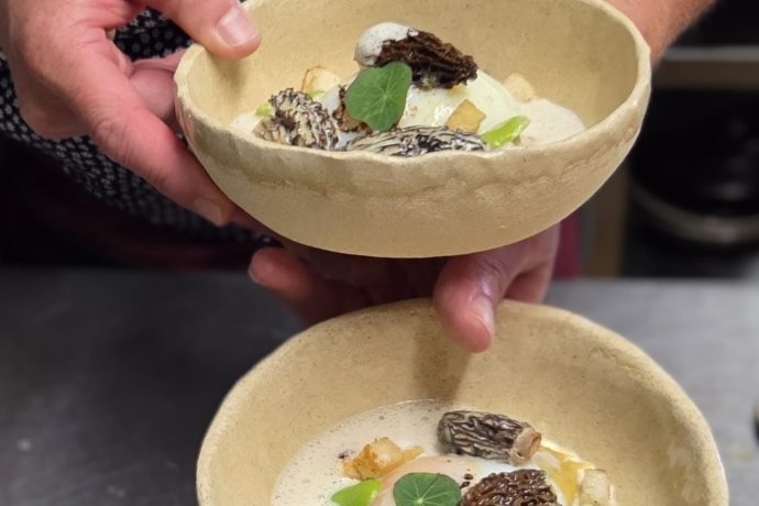oeuf morilles vin jaune
