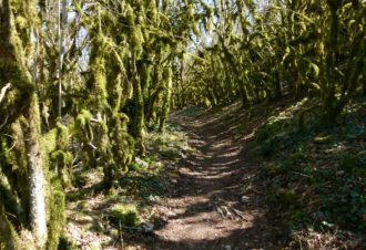 Lac de Vouglans Les falaises de Surchauffant