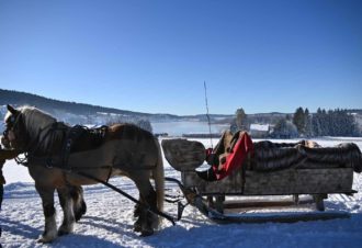 La calèche des Chauvins